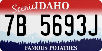 ID license plate 7B5693J