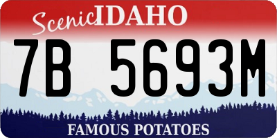 ID license plate 7B5693M