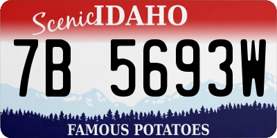 ID license plate 7B5693W
