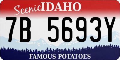 ID license plate 7B5693Y