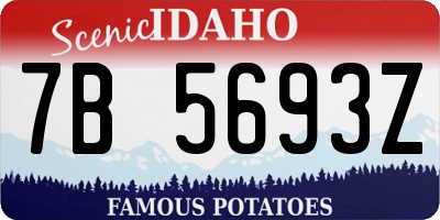 ID license plate 7B5693Z