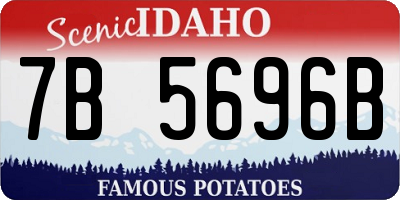 ID license plate 7B5696B