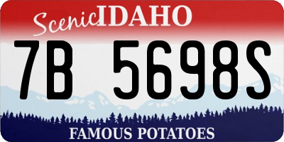 ID license plate 7B5698S