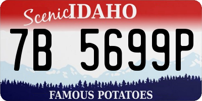 ID license plate 7B5699P
