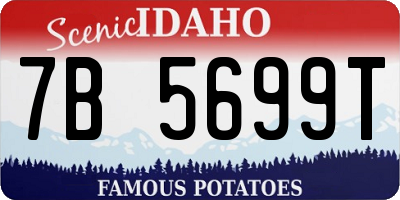 ID license plate 7B5699T