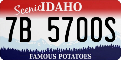 ID license plate 7B5700S