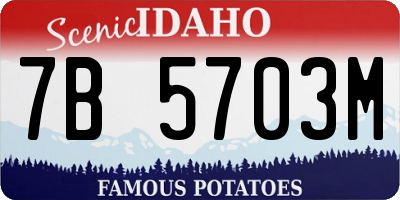 ID license plate 7B5703M