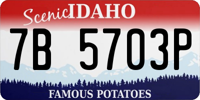 ID license plate 7B5703P