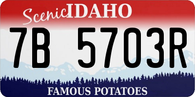 ID license plate 7B5703R