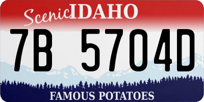 ID license plate 7B5704D