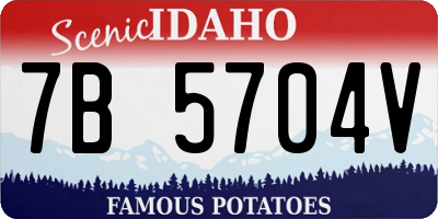 ID license plate 7B5704V