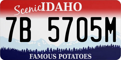 ID license plate 7B5705M