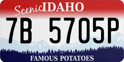 ID license plate 7B5705P