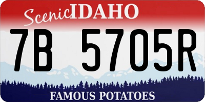 ID license plate 7B5705R
