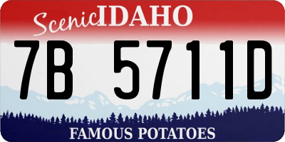 ID license plate 7B5711D