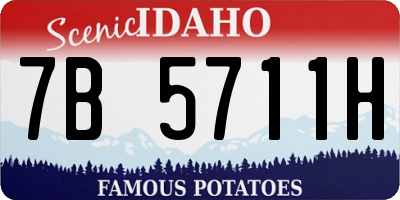 ID license plate 7B5711H