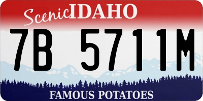 ID license plate 7B5711M