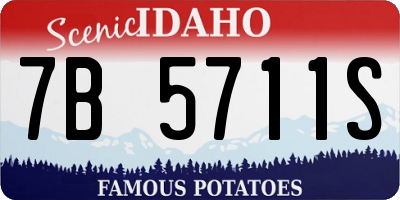 ID license plate 7B5711S