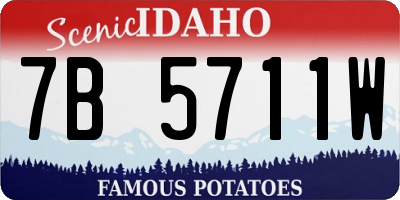 ID license plate 7B5711W
