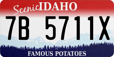 ID license plate 7B5711X