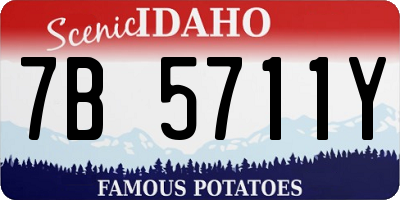 ID license plate 7B5711Y