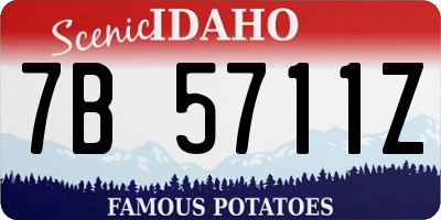 ID license plate 7B5711Z