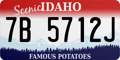 ID license plate 7B5712J