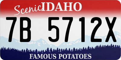 ID license plate 7B5712X