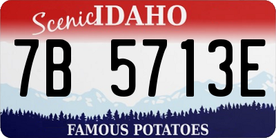 ID license plate 7B5713E