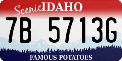 ID license plate 7B5713G