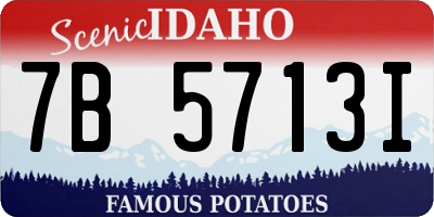 ID license plate 7B5713I