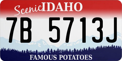 ID license plate 7B5713J