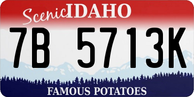 ID license plate 7B5713K