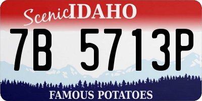ID license plate 7B5713P