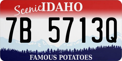 ID license plate 7B5713Q