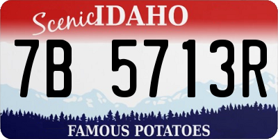 ID license plate 7B5713R
