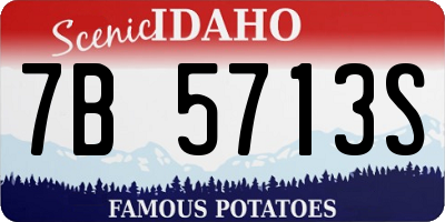 ID license plate 7B5713S