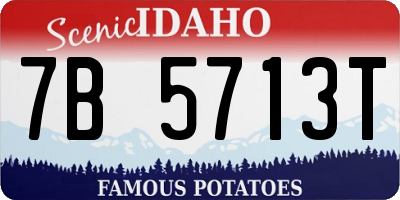 ID license plate 7B5713T