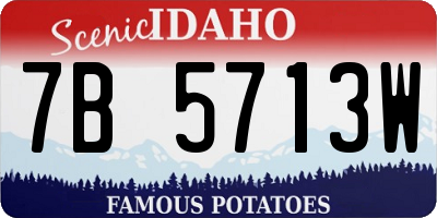 ID license plate 7B5713W