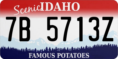 ID license plate 7B5713Z
