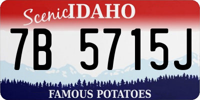 ID license plate 7B5715J