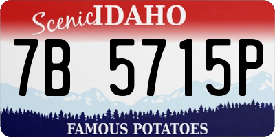 ID license plate 7B5715P