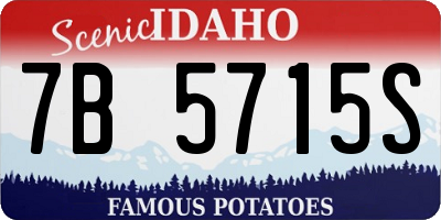 ID license plate 7B5715S