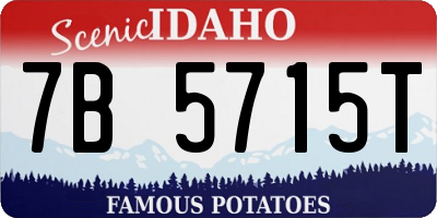 ID license plate 7B5715T