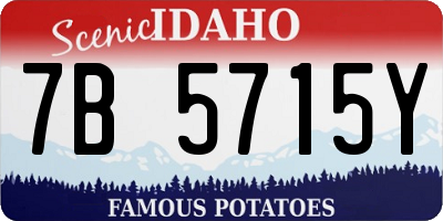 ID license plate 7B5715Y