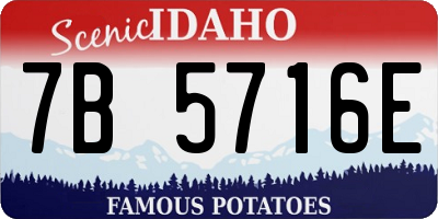 ID license plate 7B5716E