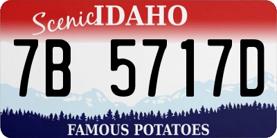 ID license plate 7B5717D