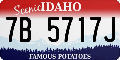 ID license plate 7B5717J