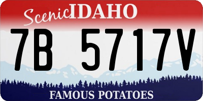 ID license plate 7B5717V