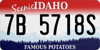 ID license plate 7B5718S